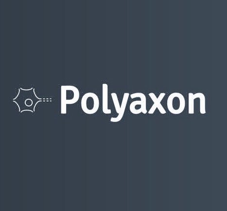 Polyaxon Professional Services by Galliot