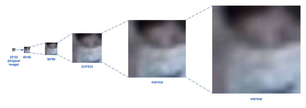 Galliot Face Mask Detection | Feeding large images to the model may result in losing some useful information 